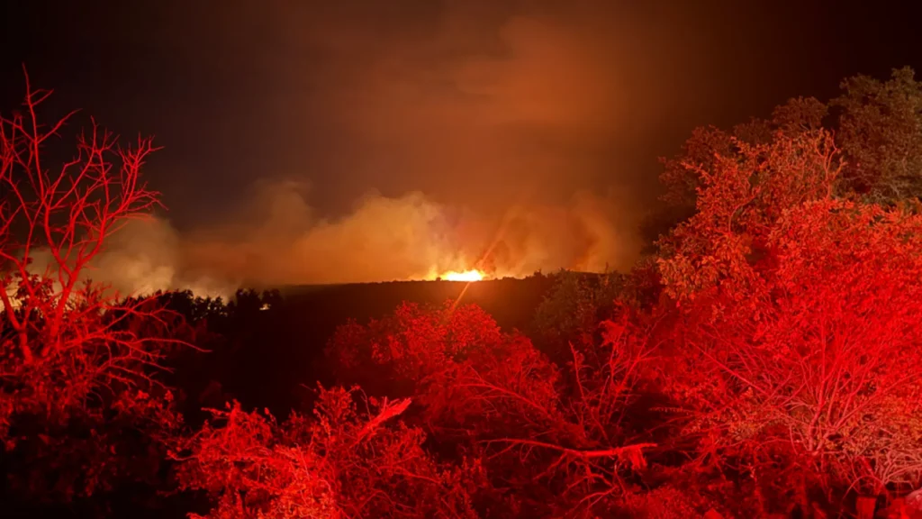 Ross Fire